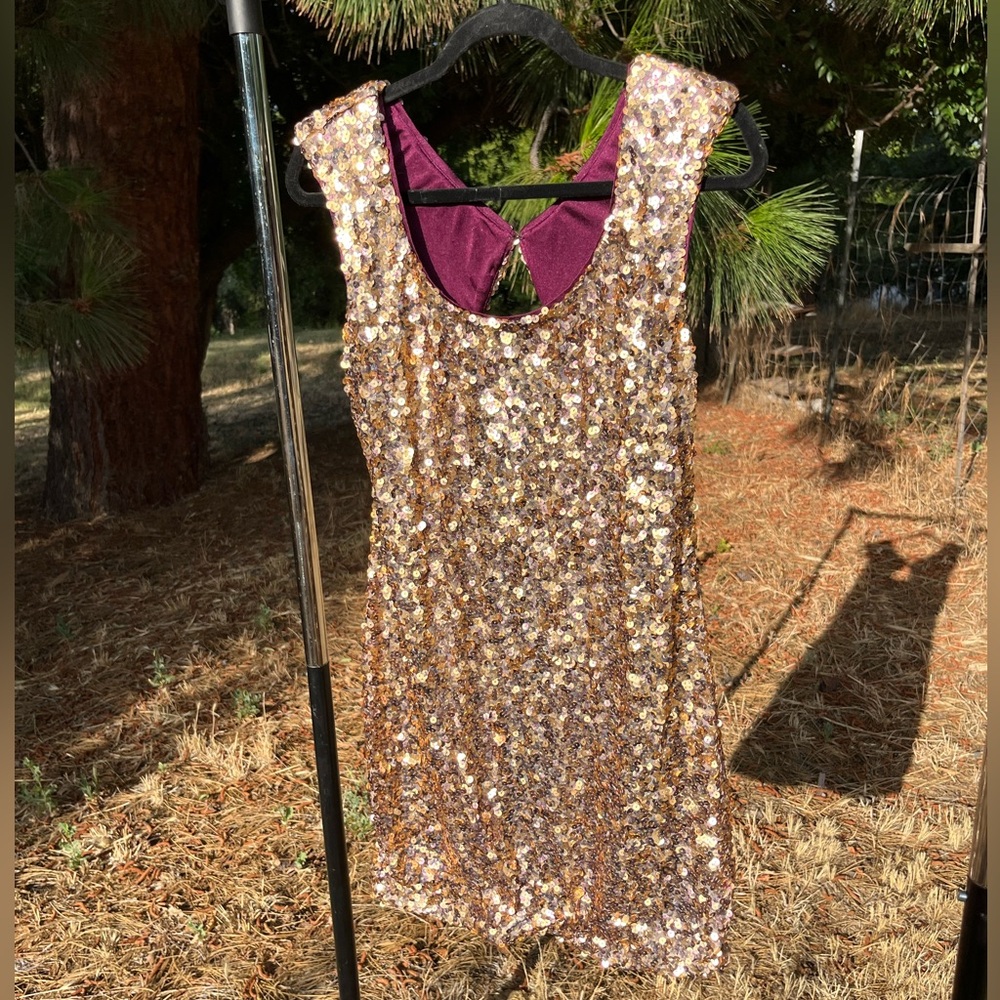 Cache Sequin Party Dress